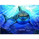 Ficha técnica e caractérísticas do produto Quebra Cabeça Super 3D Tubarão 500 Peças Multikids