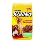 Ficha técnica e caractérísticas do produto Ração Kanina Adulto Carne e Cereais 25kg - Purina