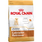 Ração Labrador Retriever Junior.33 12kg - Royal Canin