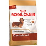 Ficha técnica e caractérísticas do produto Ração para Cães Adultos da Raça Dachshund 1kg - Royal Canin