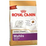 Ficha técnica e caractérísticas do produto Ração para Cães Filhotes da Raça Maltês 1kg - Royal Canin