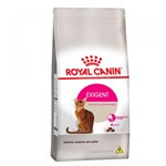 Ficha técnica e caractérísticas do produto Ração Royal Canin Exigent para Gatos Adultos com Apetite Muito Exigente - 1,5 Kg