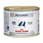 Ficha técnica e caractérísticas do produto Ração Royal Canin Lata Canine e Feline Veterinary Diet Recovery Wet - 195 G - 195 G
