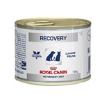 Ração Royal Canin Lata Canine e Feline Veterinary Diet Recovery Wet 195g