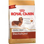 Ficha técnica e caractérísticas do produto Ração Dachshund Junior.28 3kg - Royal Canin