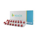 Ficha técnica e caractérísticas do produto Reaox Biolab 30 Cápsulas Gelatinosas