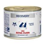 Ficha técnica e caractérísticas do produto Recovery Royal Canin Veterinary Ração Cães E Gatos – 195 G
