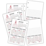 Ficha técnica e caractérísticas do produto Refil Calendário Redoma Finan