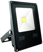 Ficha técnica e caractérísticas do produto Refletor LED Holofote 30W Bivolt IP65 Prova D'Água AAATOP