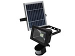 Ficha técnica e caractérísticas do produto Refletor Solar LED 8W Luz Branca - Ecoforce 17110