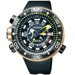 Ficha técnica e caractérísticas do produto Relógio Citizen Aqualand EcoDrive BN2025-02E / TZ30740X