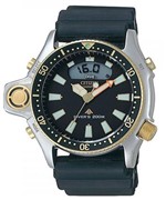 Ficha técnica e caractérísticas do produto Relógio Citizen Aqualand JP2004-07E - TZ10137P