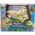 Ficha técnica e caractérísticas do produto Rex Esqueleto Mundo dos Dinossauros - Abrakidabra 7274