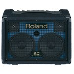 Ficha técnica e caractérísticas do produto Roland Kc-110 Amplificador
