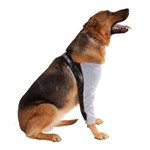 Ficha técnica e caractérísticas do produto Roupa Protetor Higroma Pet Med para Cães - 6 (circunferência Máx. Peitoral 78cm)