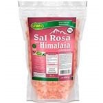 Ficha técnica e caractérísticas do produto Sal Rosa do Himalaia Grosso Sachê 500g Unilife