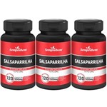 Ficha técnica e caractérísticas do produto Salsaparrilha - Semprebom - 360 Caps - 500 Mg - Sem Sabor - 360 Cápsulas