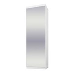 Ficha técnica e caractérísticas do produto Sapateira Virtual 1 Porta Basculante com Espelho Branco Maderado