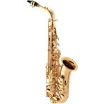 Ficha técnica e caractérísticas do produto Saxofone Alto EAGLE Mib SA501 Laqueado