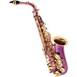Ficha técnica e caractérísticas do produto Saxofone Alto em Mi Bemol Eagle Dourado Escovado #SA500TP