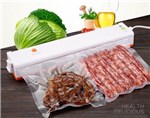 Ficha técnica e caractérísticas do produto Seladora Vácuo Freshpack Pro Alimentos Embaladora Sácolas - Cosmo
