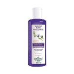 Ficha técnica e caractérísticas do produto Shampoo Flores e Vegetais Matizante Blond 300Ml