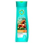 Ficha técnica e caractérísticas do produto Shampoo Herbal Essences Moroccan My Shine 18125ID – 300 ML