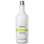 Ficha técnica e caractérísticas do produto Shampoo Inoar Cicatrifios 1000ml