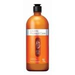 Ficha técnica e caractérísticas do produto Shampoo Lowell Hidratante Protect Care 1000ml