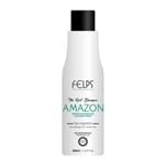Ficha técnica e caractérísticas do produto Shampoo que Alisa Amazon Felps Profissional The Best 500ml