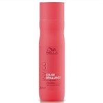 Ficha técnica e caractérísticas do produto Shampoo Wella Invigo Color Brilliance 250ml - Wella Professionals