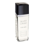 Ficha técnica e caractérísticas do produto Silver Caviar Paris Elysees - Perfume Masculino Eau De Toilette 100ml