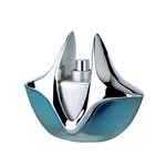 Ficha técnica e caractérísticas do produto Silver Light Linn Young - Perfume Feminino - Eau de Parfum