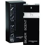 Ficha técnica e caractérísticas do produto Silver Scent Eau de Toilette Jacques Bogart 100ml - Perfume Masculino