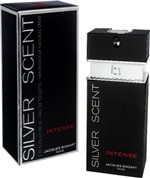 Ficha técnica e caractérísticas do produto Silver Scent Intense Jacques Bogart - Perfume Masculino - Eau de Toilette - 100ml