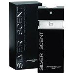 Ficha técnica e caractérísticas do produto Silver Scent Jacques Bogart 100ML - Perfume Masculino - Eau de Toilette