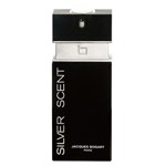 Ficha técnica e caractérísticas do produto Silver Scent Jacques Bogart - Perfume Masculino - Eau de Toilette