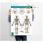 Ficha técnica e caractérísticas do produto Sistema Esquelético Completo 70x100cm - V2D Cartazes Educacionais - Anatomia Humana - Esqueleto Humano