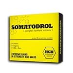 Ficha técnica e caractérísticas do produto Somatodrol 30caps