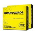Ficha técnica e caractérísticas do produto Somatodrol