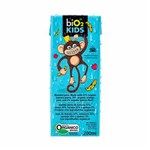 Ficha técnica e caractérísticas do produto Suco de Banana Juice Kids Bio2 200ml