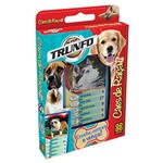 Ficha técnica e caractérísticas do produto Super Trunfo - Especial Cães de Raça - Grow