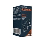 Ficha técnica e caractérísticas do produto Suplemento Alimentar Glutamina Mundo Animal Nutrisana - 120 Ml