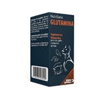 Ficha técnica e caractérísticas do produto Suplemento Alimentar Glutamina Mundo Animal Nutrisana