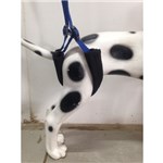 Ficha técnica e caractérísticas do produto Suporte Levantacão Cães com Dificuldade Mobilidade