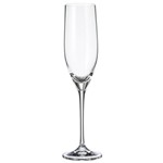 Ficha técnica e caractérísticas do produto Taça de Cristal para Champagne Sitta 240Ml - Bohemia