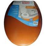 Ficha técnica e caractérísticas do produto Tampa Assento Sanitário Oval Plástico Caramelo 1 Astra