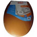 Ficha técnica e caractérísticas do produto Tampa Assento Sanitário Oval Plástico Caramelo 2 Astra