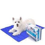 Ficha técnica e caractérísticas do produto Tapete Gelado Chalesco Pet Cooling Mat para Cães - Tamanho M