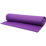 Ficha técnica e caractérísticas do produto Tapete Yoga Mat 1,70x58x0,4 Roxo T10 Acte